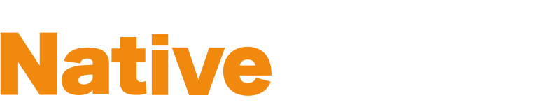 Las clases de conversación en línea son Native Camp.